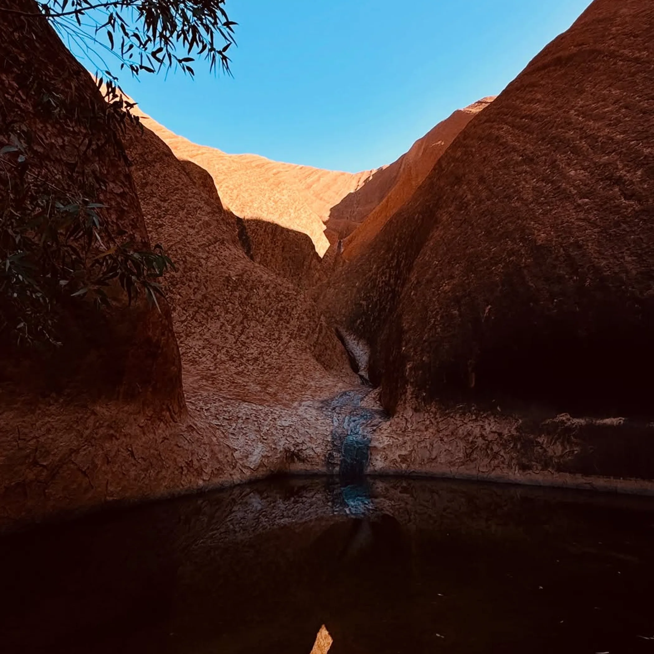 kata tjuta sunrise viewing platform early morning