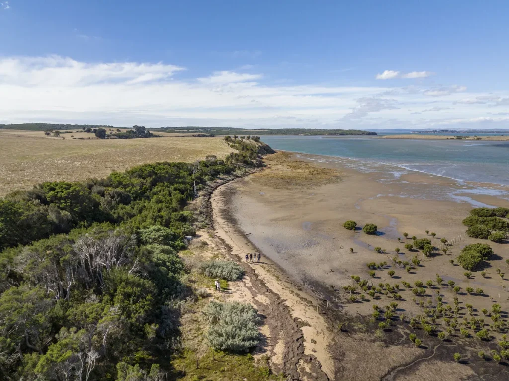 Exploring Phillip Island’s Coastal Walks and Trails