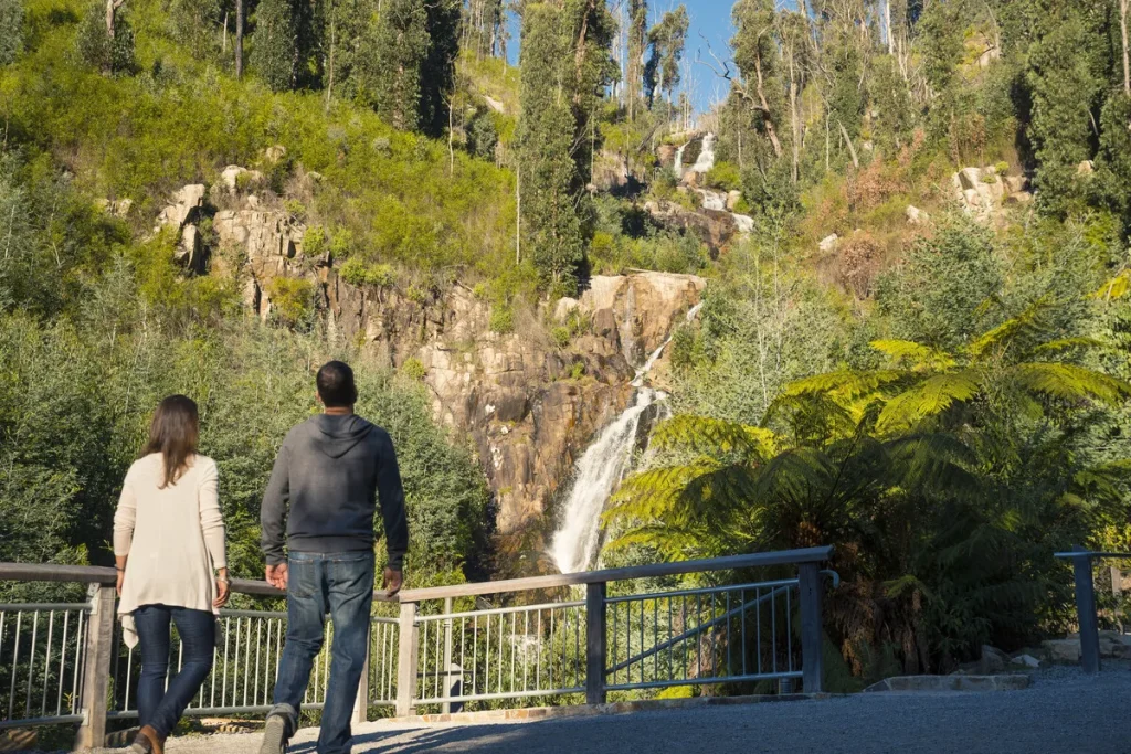 Mount Dandenong Arboretum