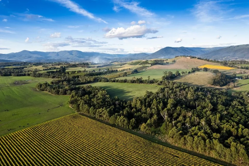 Warburton Valley views